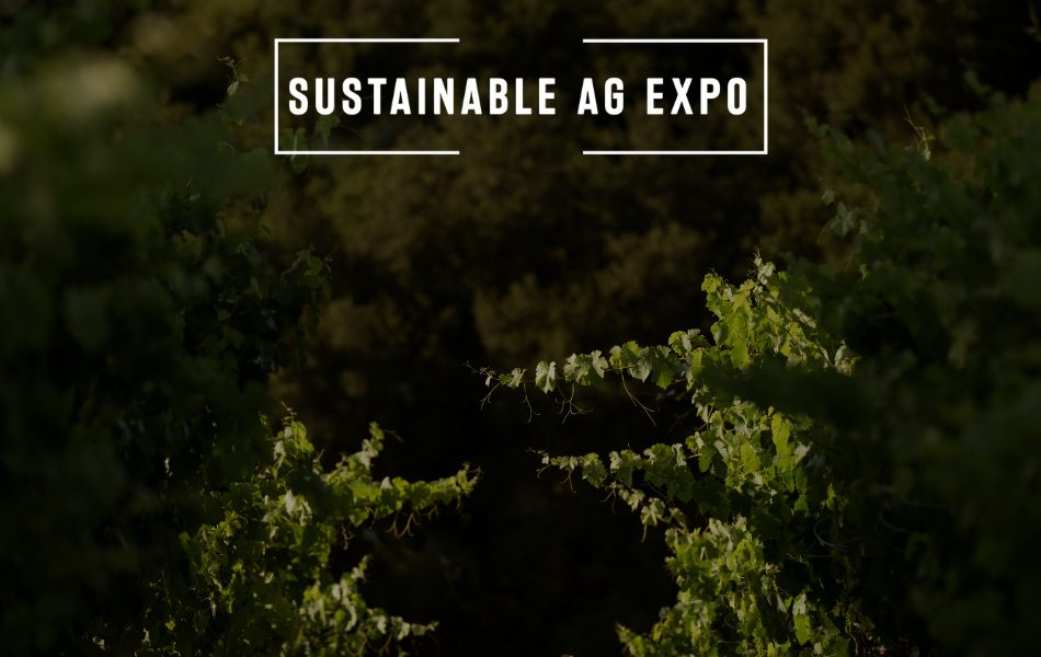 From New Varieties to the Vineyard: A Morning with Dr. Michelle Moyer
